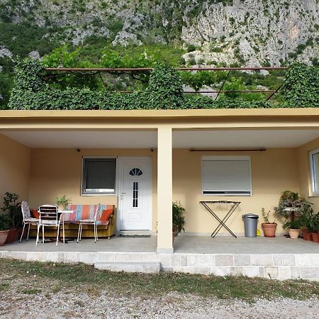Apartment Jelena Kotor Exterior foto
