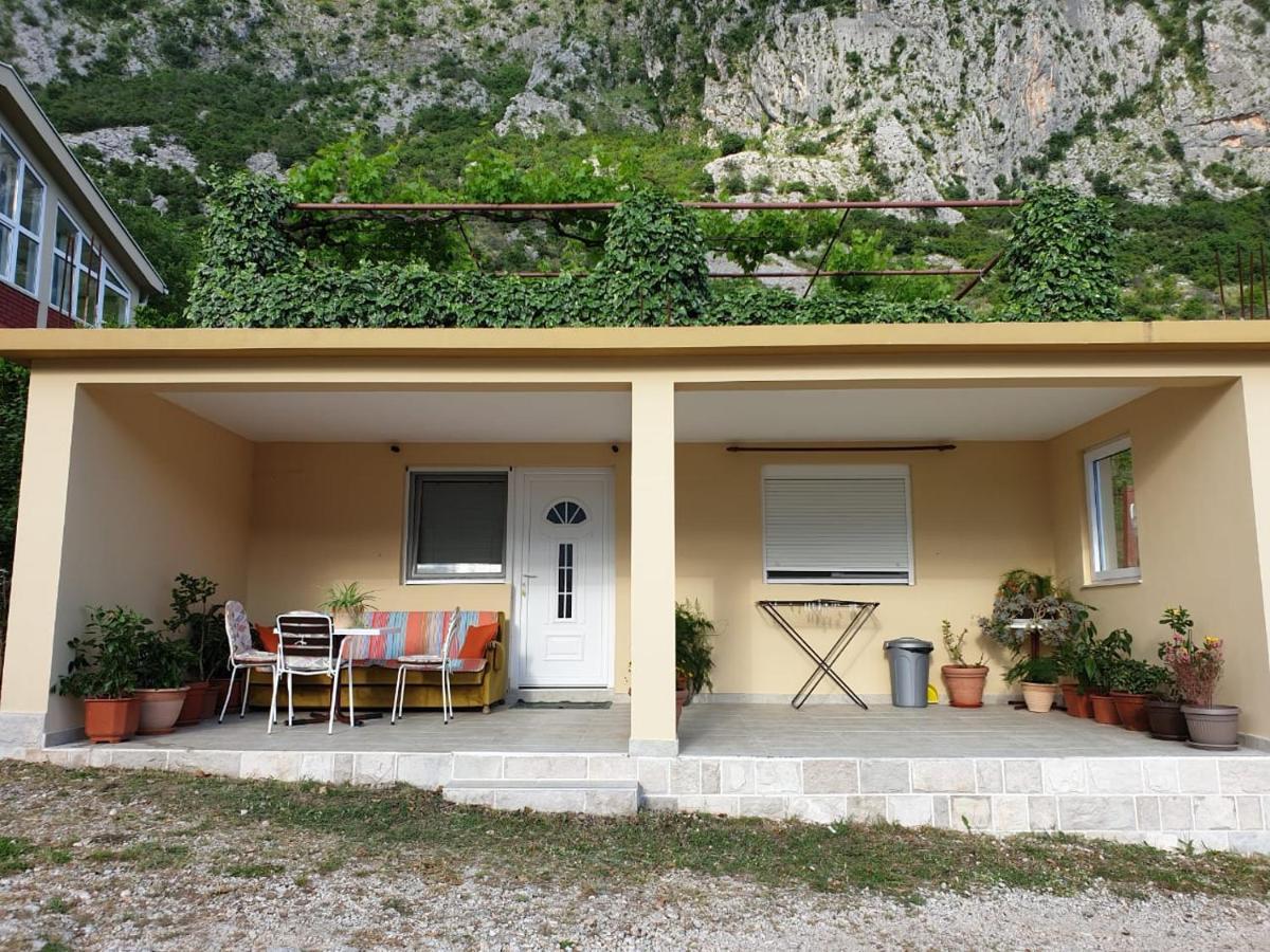 Apartment Jelena Kotor Exterior foto