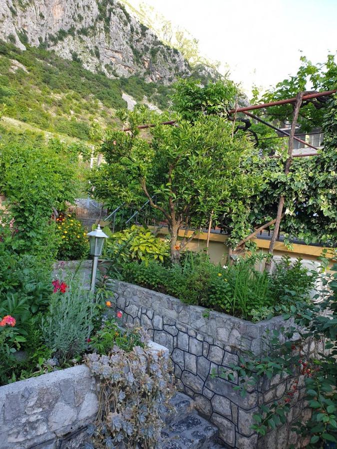 Apartment Jelena Kotor Exterior foto